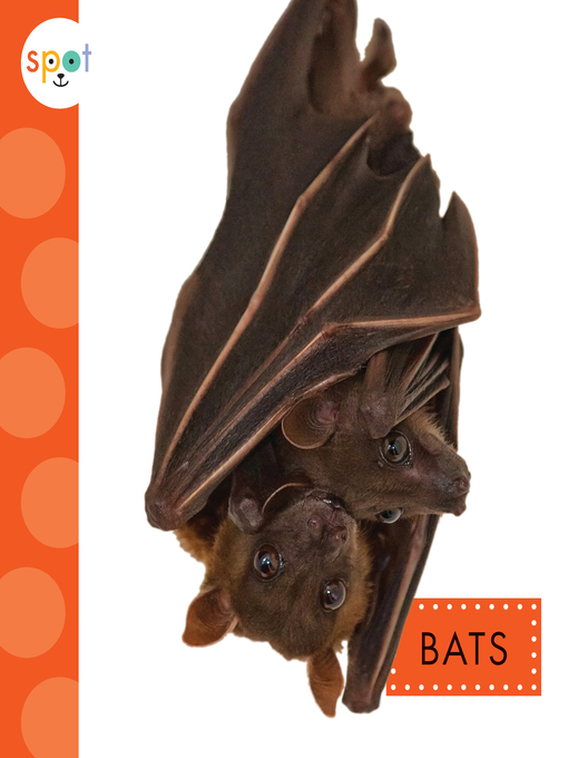 Title details for Bats by Wendy Strobel Dieker - Available